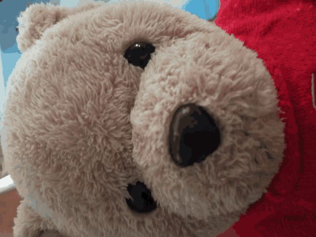 a close up of a brown teddy bear 's face