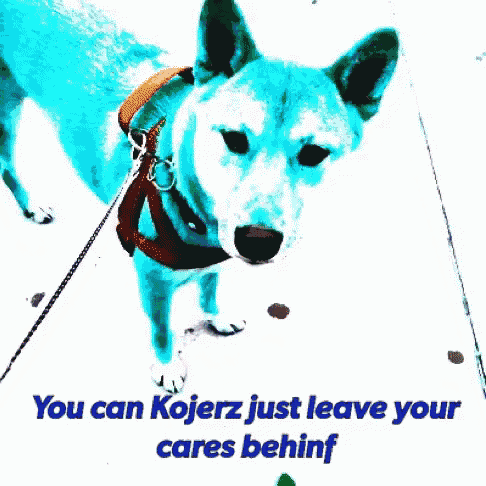 a blue dog on a leash with the words " you can kojerz just leave your cares behind " below it