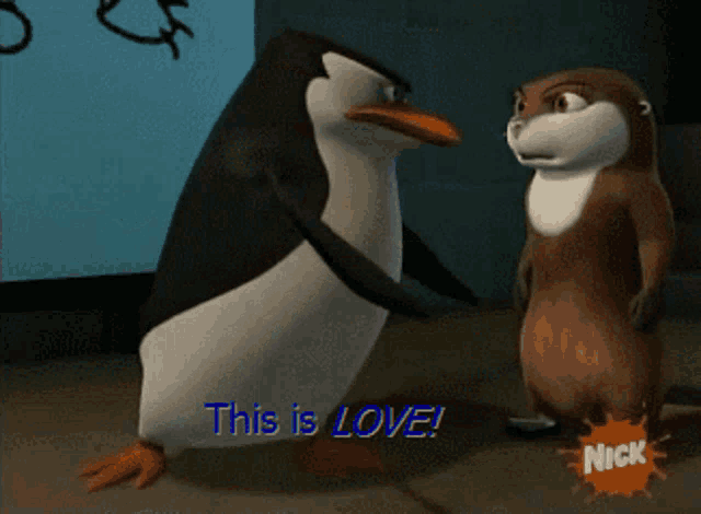 a penguin and an otter are standing next to each other with the words " this is love " behind them