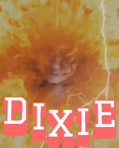 a picture of a woman with the name dixie written on it