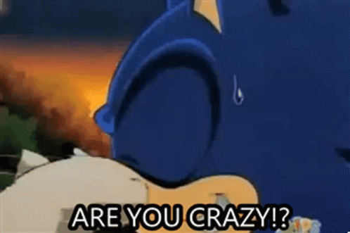 Knuckles The Echidna Are You Crazy GIF - Knuckles The Echidna Are You Crazy Crazy GIFs