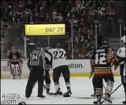 Hockey Fights Awkward GIF - Hockey Fights Awkward GIFs