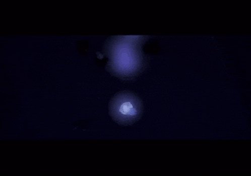a couple of penguins are swimming in the water at night
