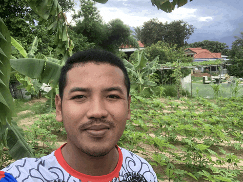a man in a red white and blue shirt stands in a field