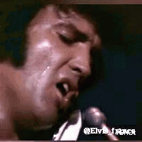 Elvis Presley GIF - Elvis Presley GIFs