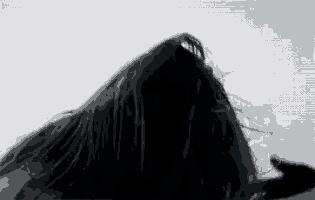 a woman 's hair is blowing in the wind and covering her face