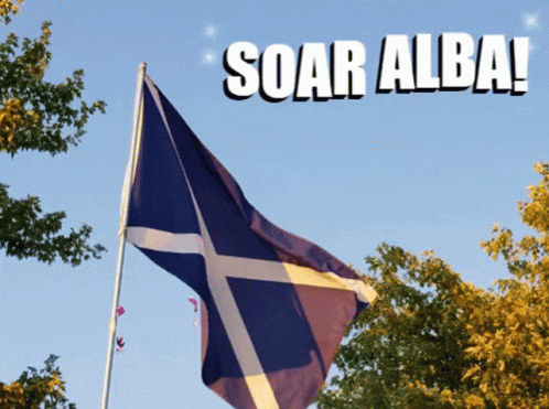 Free Scotland Flag GIF - Free Scotland Flag GIFs