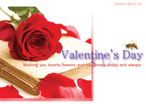 valentine 's day wishing you hearts flowers and happiness today and always with a red rose on a book