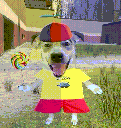 a dog wearing a yellow shirt and red shorts holds a colorful lollipop