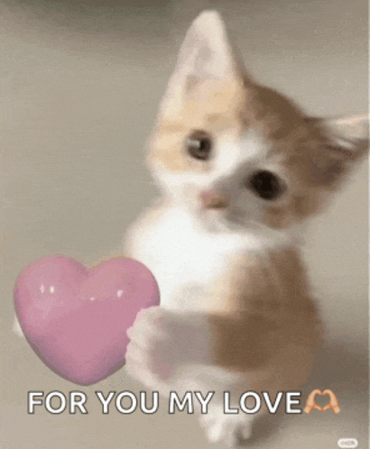 a kitten is holding a pink heart with the words for you my love above it