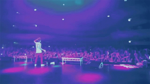 Fans Admiration GIF - Fans Admiration Supporter GIFs