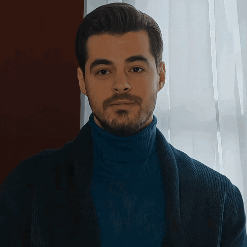 a man with a beard is wearing a blue sweater