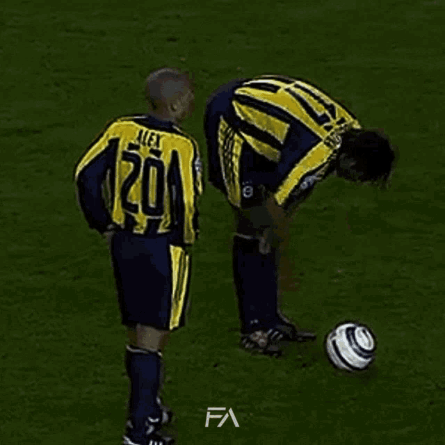 Fenerbahçe Fener Aesthetics GIF - Fenerbahçe Fener Aesthetics Hooijdonk GIFs