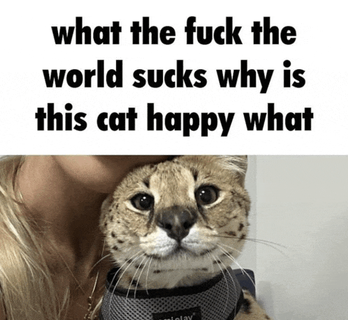 a woman holding a cat with a caption that says what the fuck the world sucks why is this cat happy what
