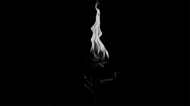 a black and white photo of a burning flower with smoke coming out of it .