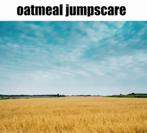 Oatmeal Jumpscare GIF - Oatmeal Jumpscare Funny GIFs