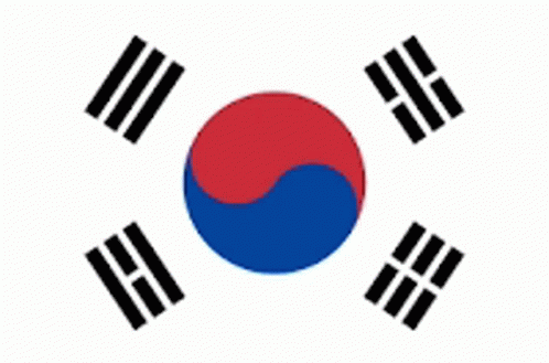 South Korea GIF - South Korea GIFs
