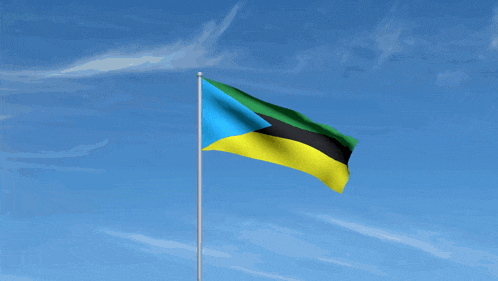 a blue green and yellow flag is flying in the wind