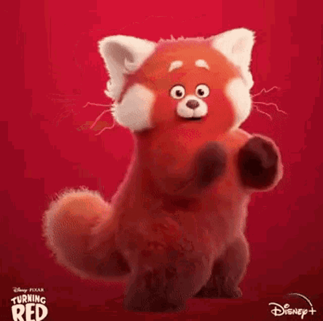 Yo Watch Tone Mf Red Panda Funny GIF - Yo Watch Tone Mf Red Panda Funny GIFs