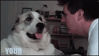 a man and a dog are looking at each other and the dog is smiling .