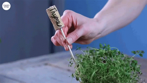 Herb Garden Makers Thyme GIF - Herb Garden Makers Thyme Labeling GIFs
