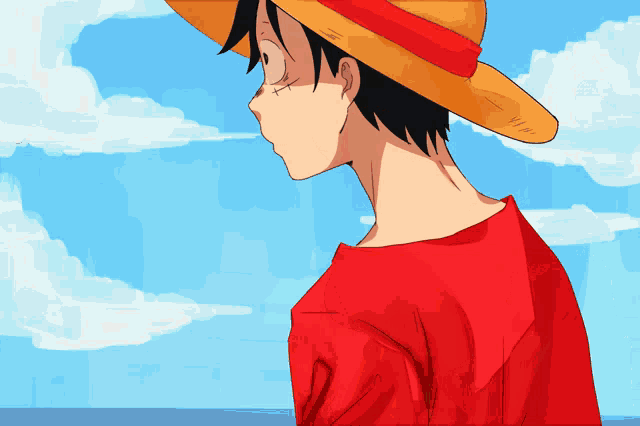 a man wearing a straw hat and a red shirt is looking out over the ocean