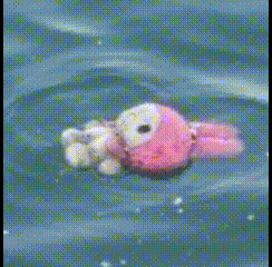a person is floating on their back in the water wearing a life jacket
