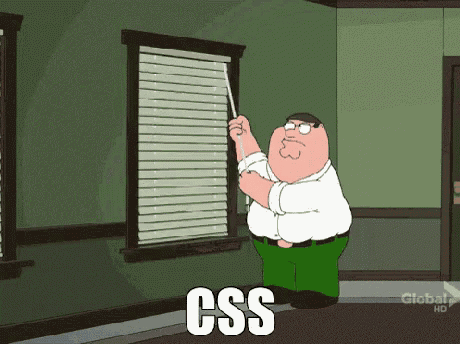 a cartoon of peter griffin pointing at a window with the word css written above him
