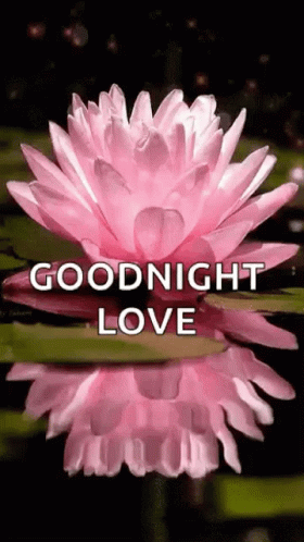 Goodnight Love GIF - Goodnight Love Sparkles GIFs