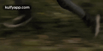 a close up of a person 's face with a blurred background and the words kulfyapp.com on the bottom .