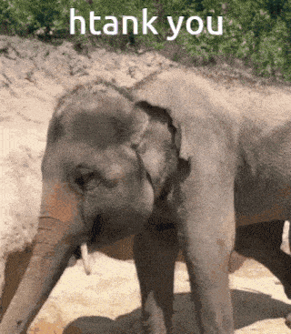 a picture of an elephant with the words " thank you " written below it