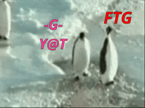 Penguin Slap GIF