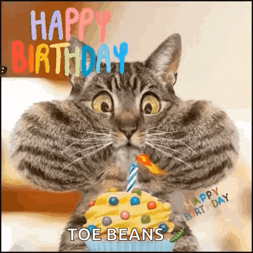 a cat is holding a cupcake with a candle on it and says happy birthday toe beans .