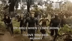 Avengers Infinity War GIF - Avengers Infinity War My Dogs When I Come Home GIFs