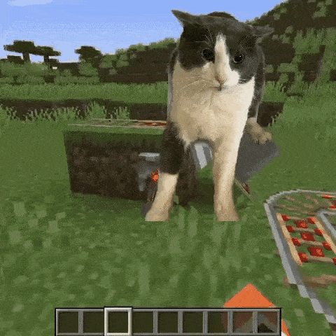 a cat is standing in the grass in a minecraft game .