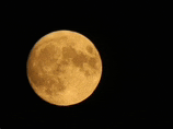 a full moon is visible in the dark night sky
