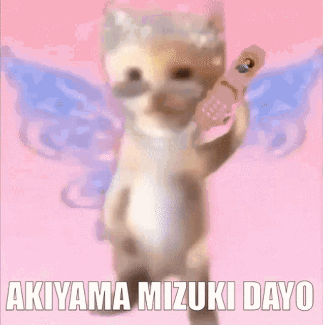 a blurry picture of a cat dancing with the words akiyama mizuki dayo in the corner .