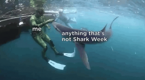 Shark Week Swimming With Sharks GIF - Shark Week Swimming With Sharks Under Water GIFs