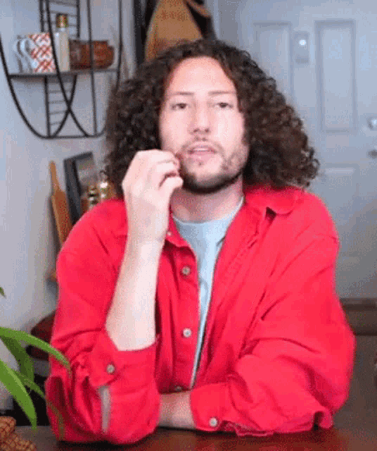 a man with curly hair and a beard is sitting at a table .
