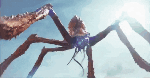 a large spider with a blue sky behind it