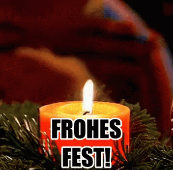 Frohes Fest! GIF - Frohes Fest Frohe Weihnachten Sesamstraße GIFs
