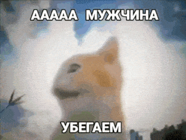 a blurred image of a dog with the words " aaa " and " yugaem "