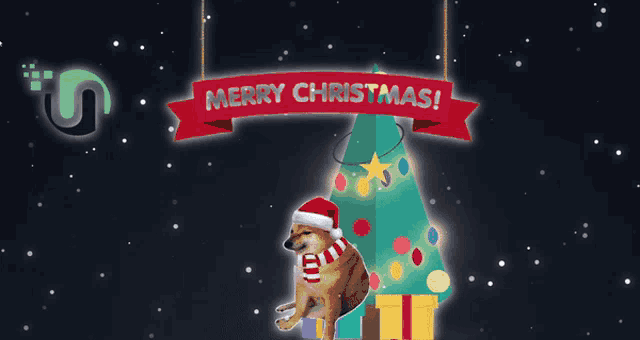 a dog wearing a santa hat sits under a merry christmas sign