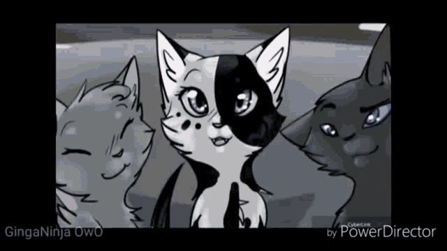 Warrior Cats Snow GIF - Warrior Cats Snow Cold GIFs