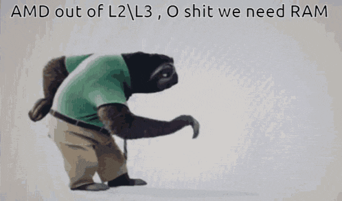 a picture of a sloth with the words amd out of l2 l3 o shit we need ram below it