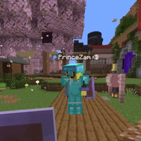a screenshot of a video game with the name princezam on the bottom