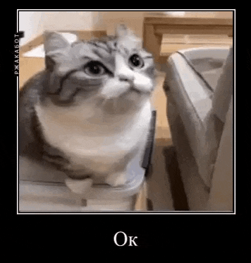 a gray and white cat is sitting on top of a litter box .