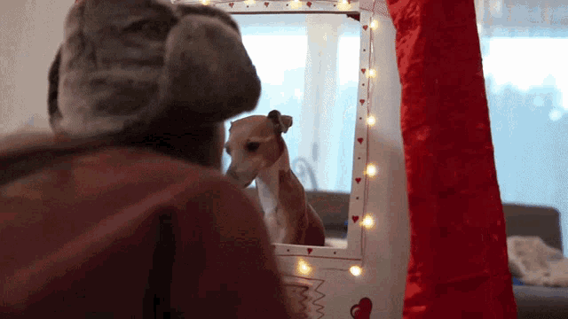 Jenna Marbles Dog Kissing Booth GIF - Jenna Marbles Dog Kissing Booth Peach GIFs