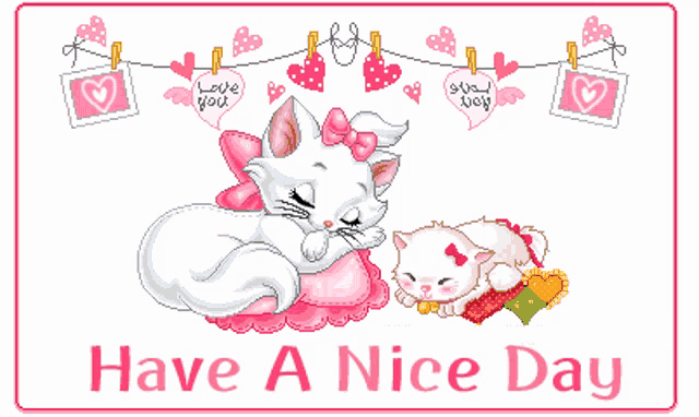 a have a nice day card with two cats sleeping on pillows