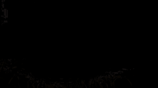 a campfire is lit up in the middle of a forest